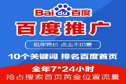 百度竞价广告运营全解析：成功案例揭秘